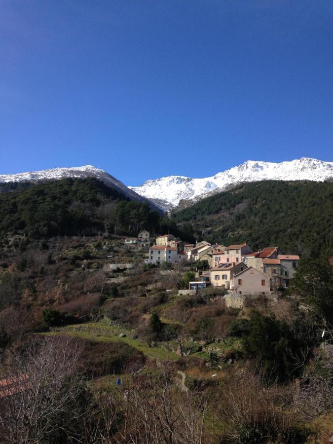 A.Casetta Santo-Pietro-di-Venaco Bagian luar foto